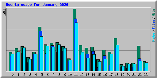 Hourly usage for January 2026